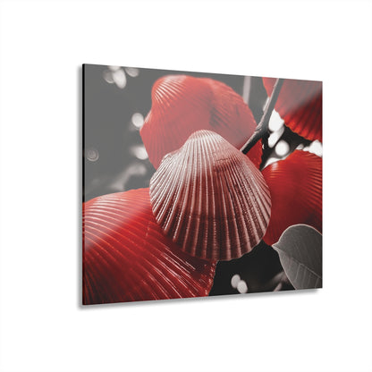 Red Shells - Acrylic Prints (French Cleat Hanging)