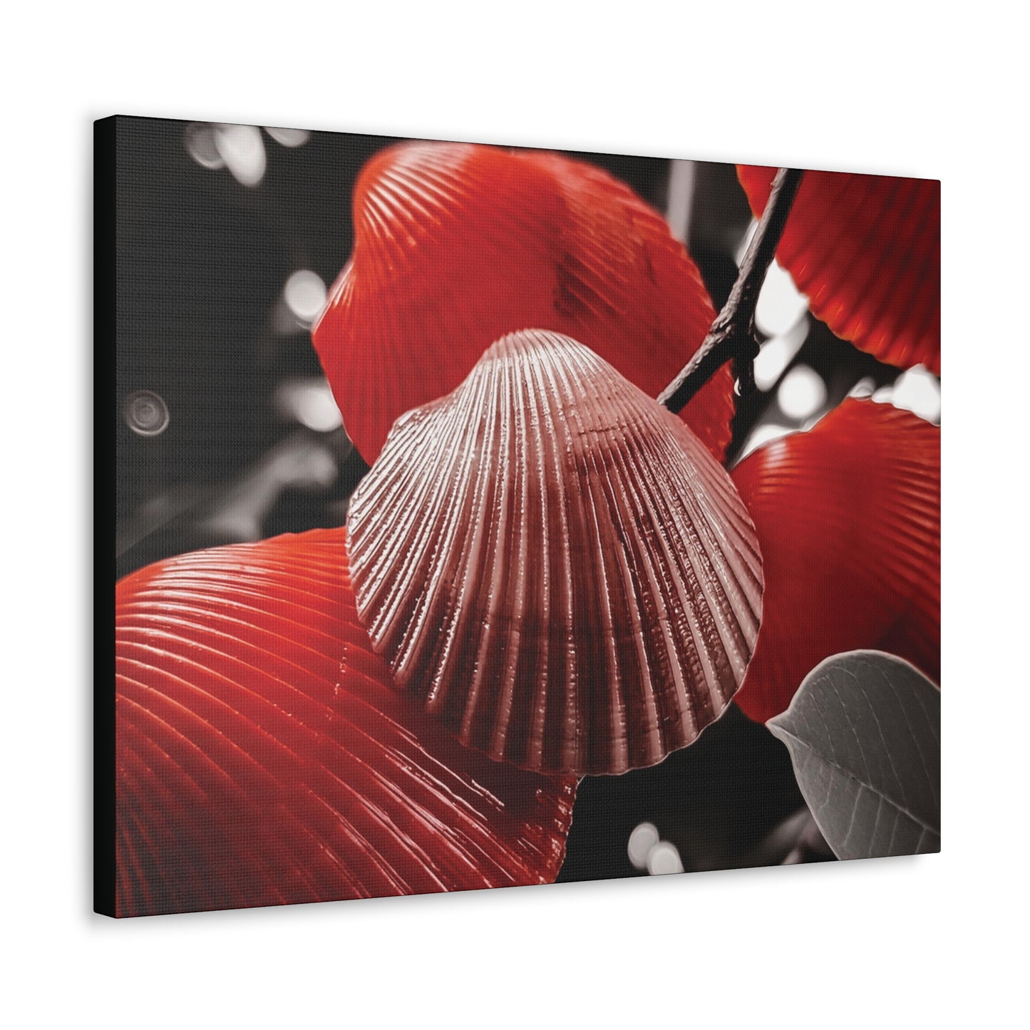 Red Shells - Canvas Gallery Wraps