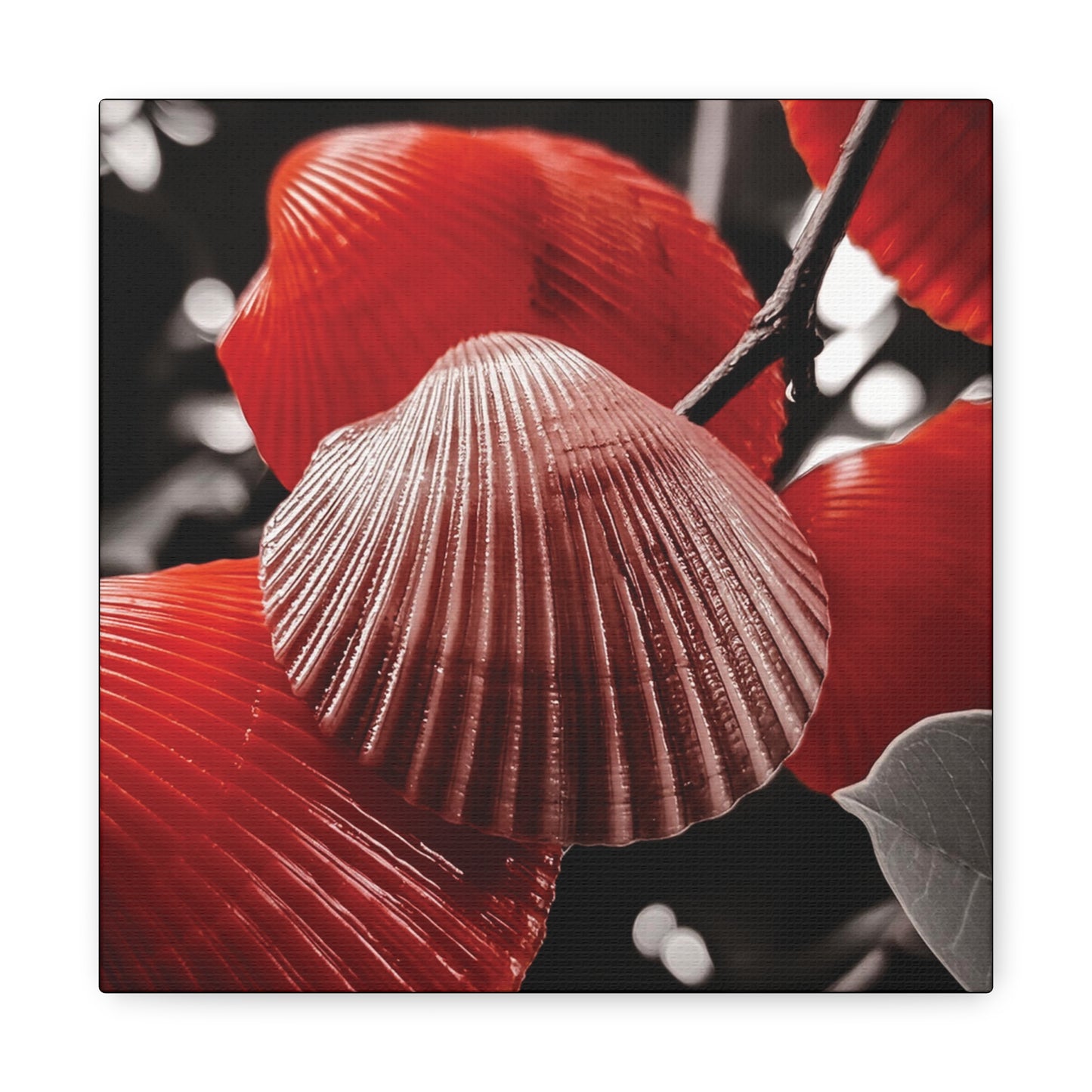 Red Shells - Canvas Gallery Wraps