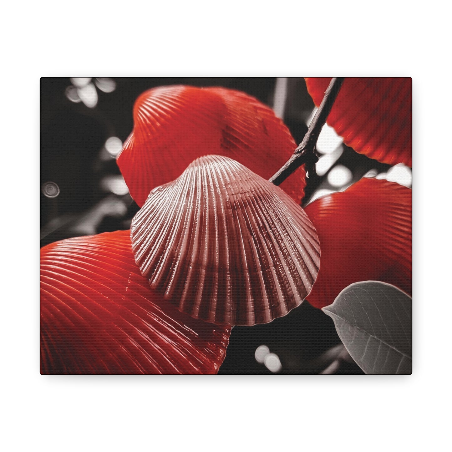 Red Shells - Canvas Gallery Wraps