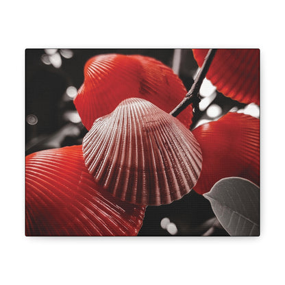 Red Shells - Canvas Gallery Wraps