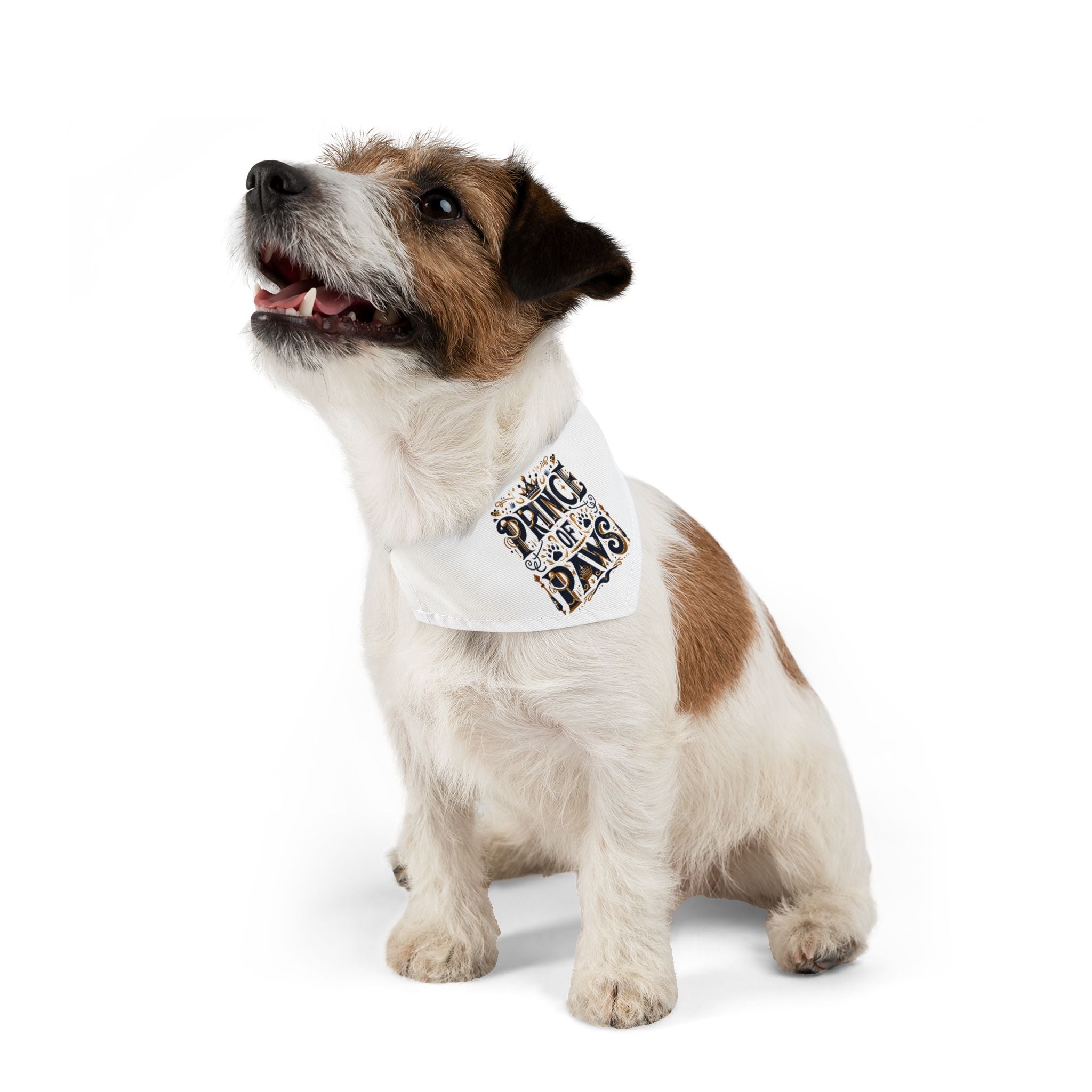 Prince of Paws - Pet Bandana Collar