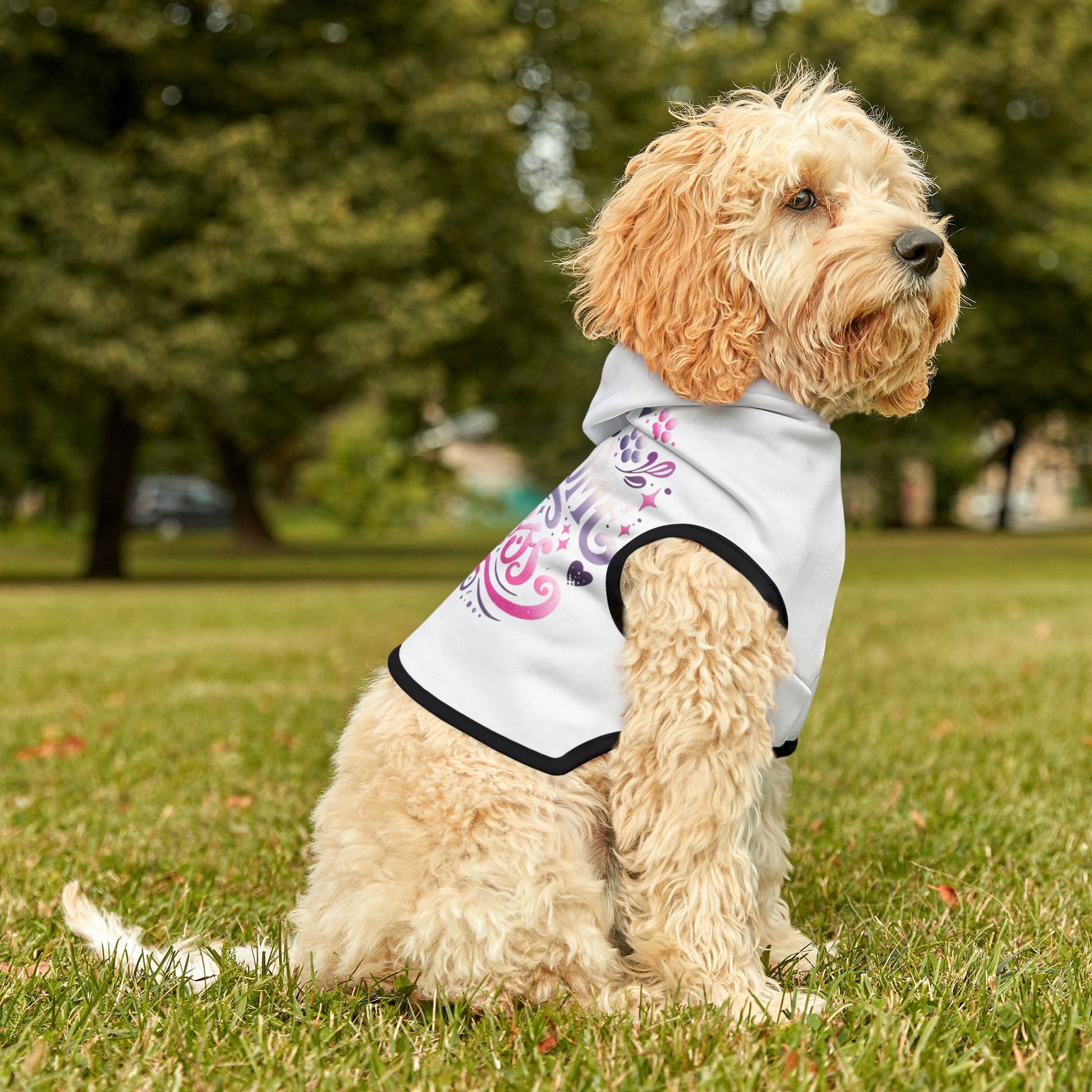 Pawsome Princess - Pet Hoodie - Creatively Designed Shop