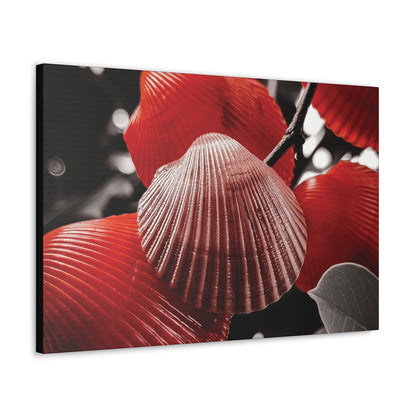 Red Shells - Canvas Gallery Wraps