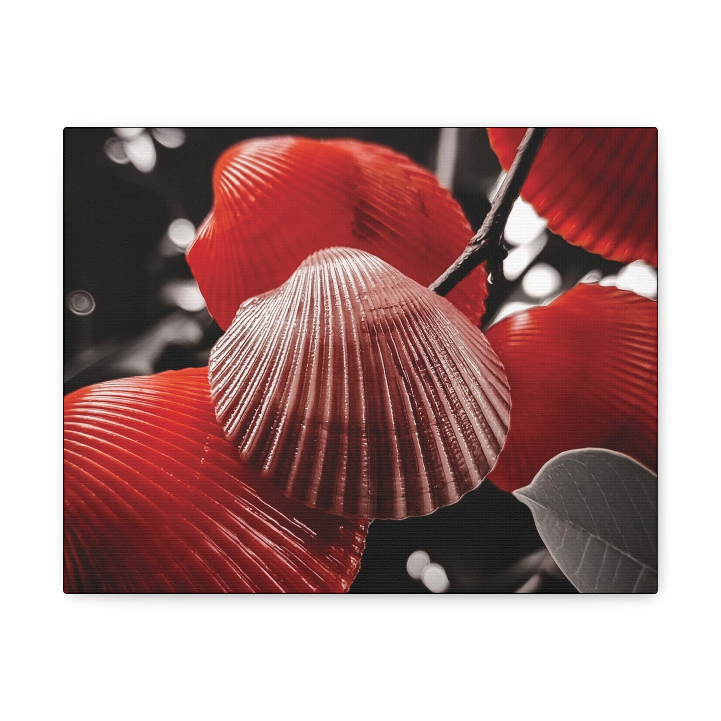 Red Shells - Canvas Gallery Wraps