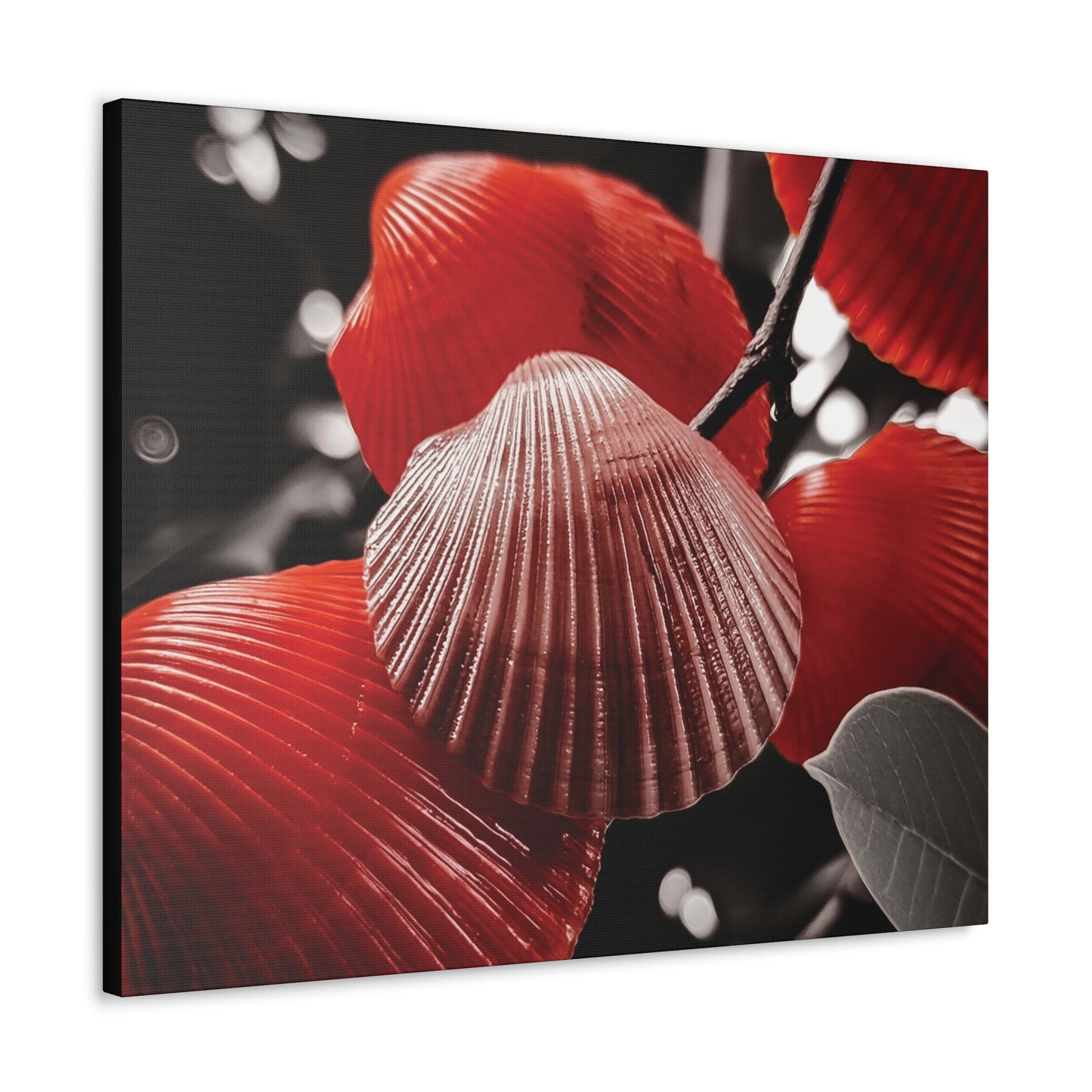 Red Shells - Canvas Gallery Wraps