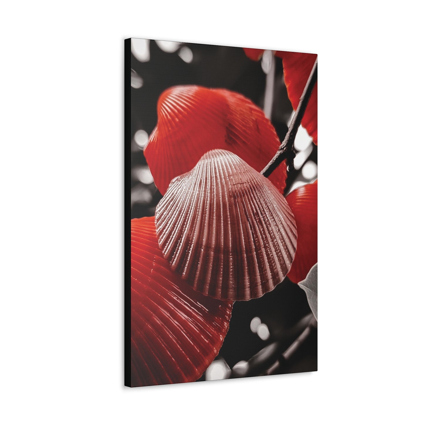 Red Shells - Canvas Gallery Wraps