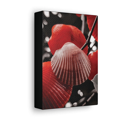 Red Shells - Canvas Gallery Wraps