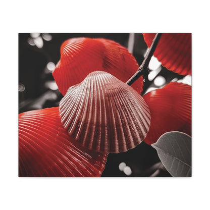 Red Shells - Canvas Gallery Wraps