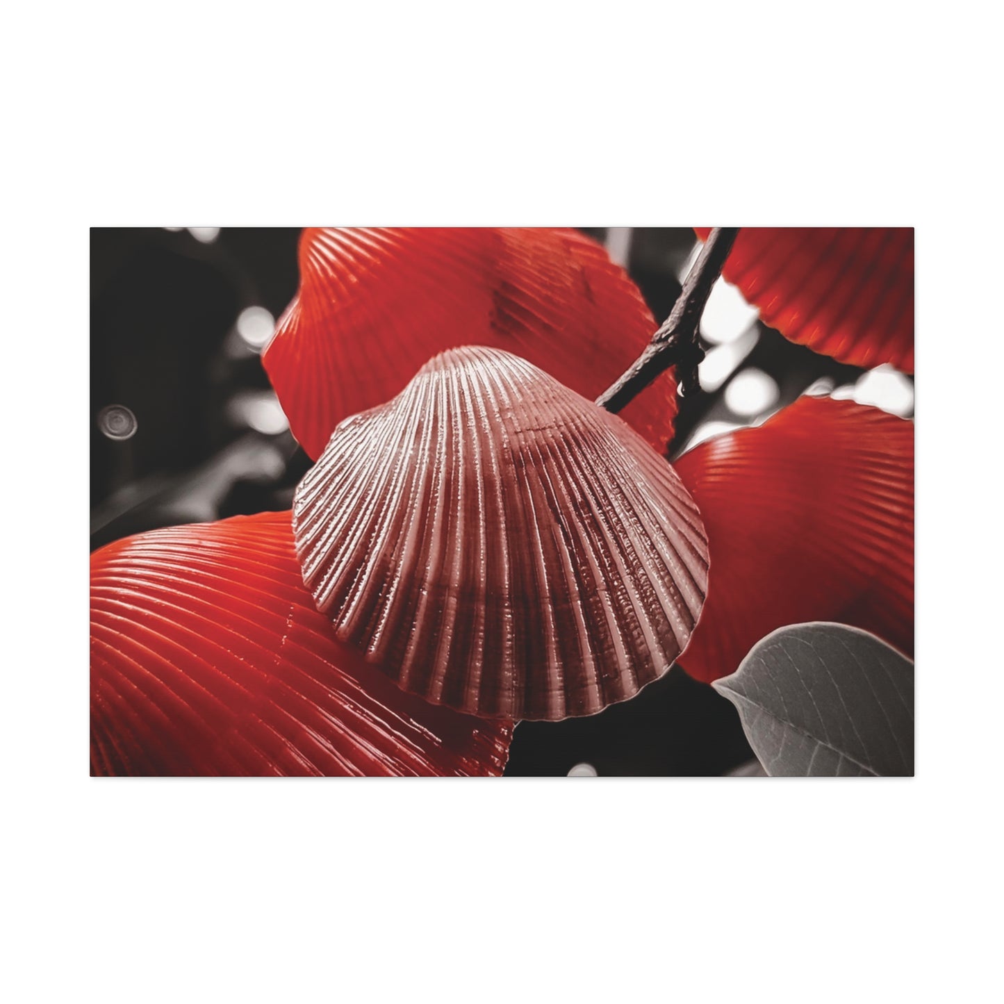 Red Shells - Canvas Gallery Wraps