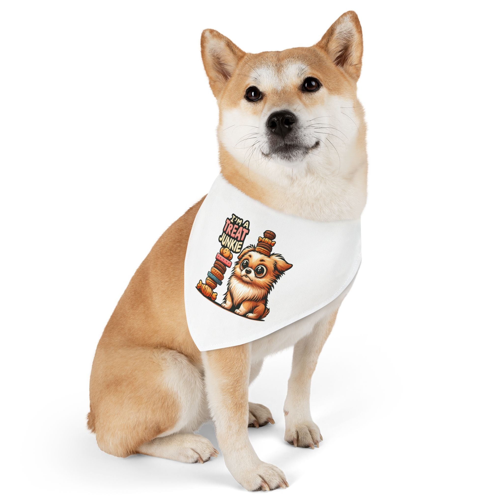 I'm A Treat Junkie - Pet Bandana Collar