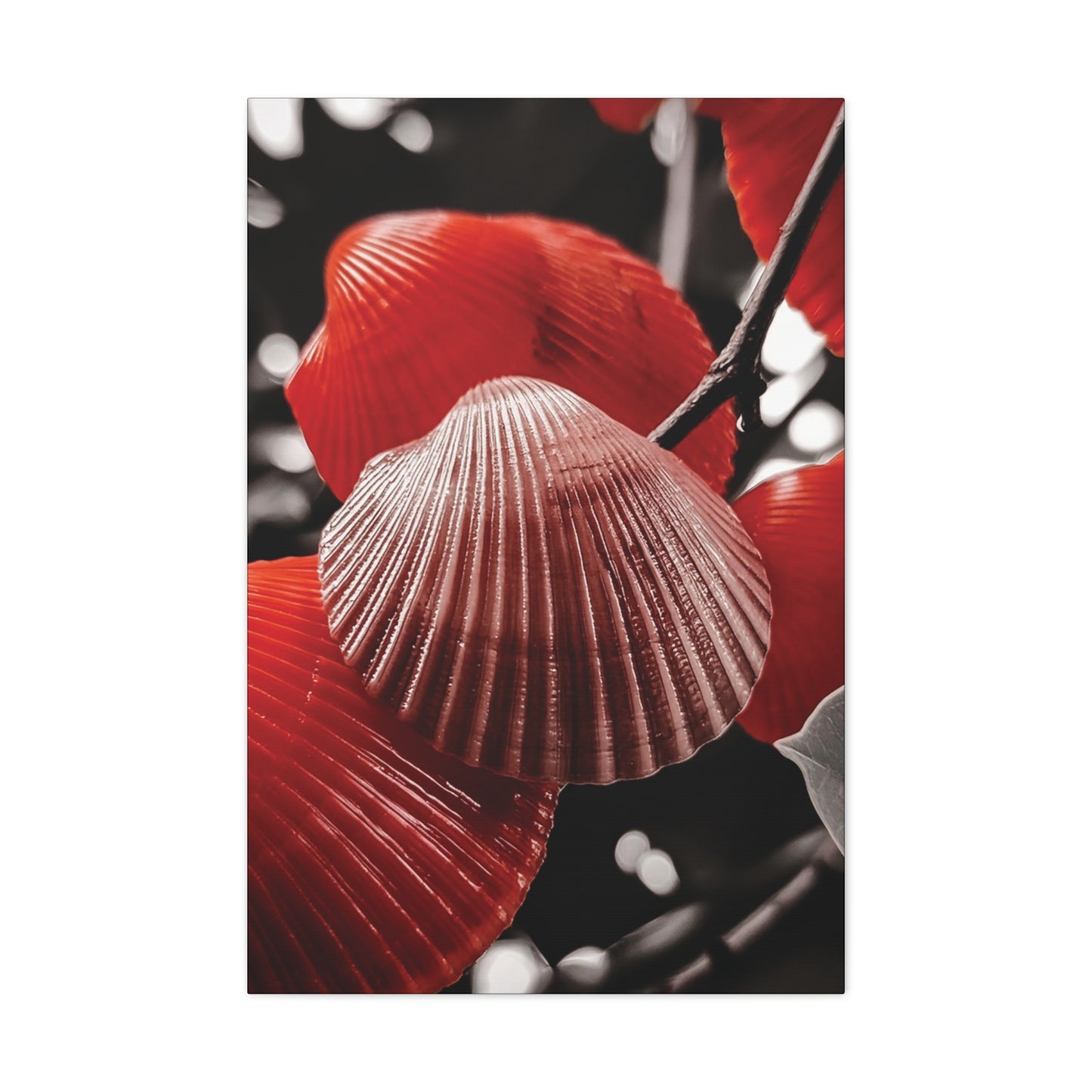 Red Shells - Canvas Gallery Wraps