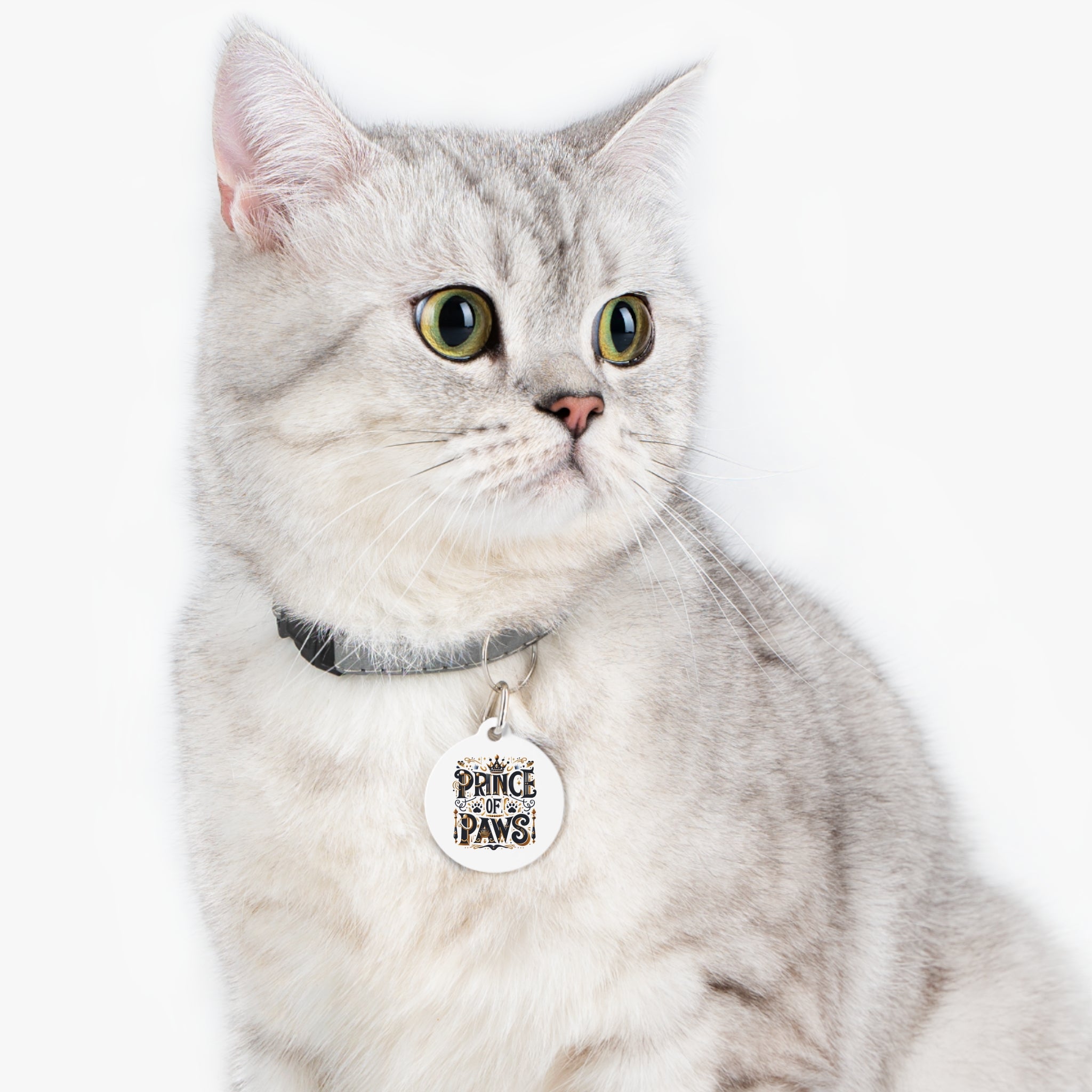 Prince of Paws - Pet Tag