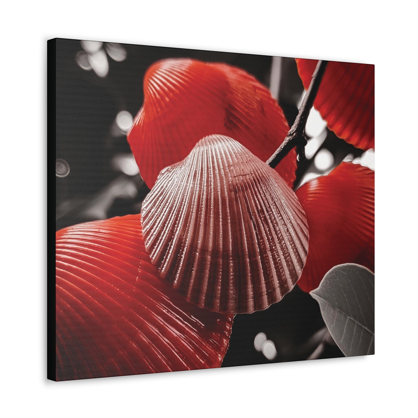 Red Shells - Canvas Gallery Wraps