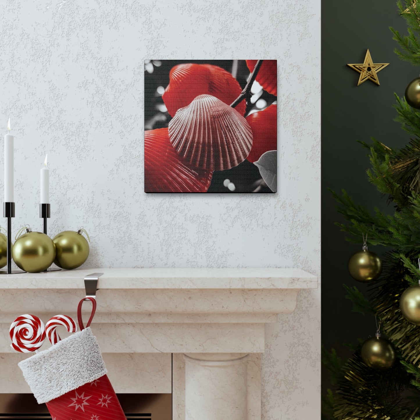 Red Shells - Canvas Gallery Wraps