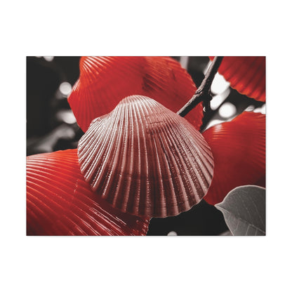 Red Shells - Canvas Gallery Wraps