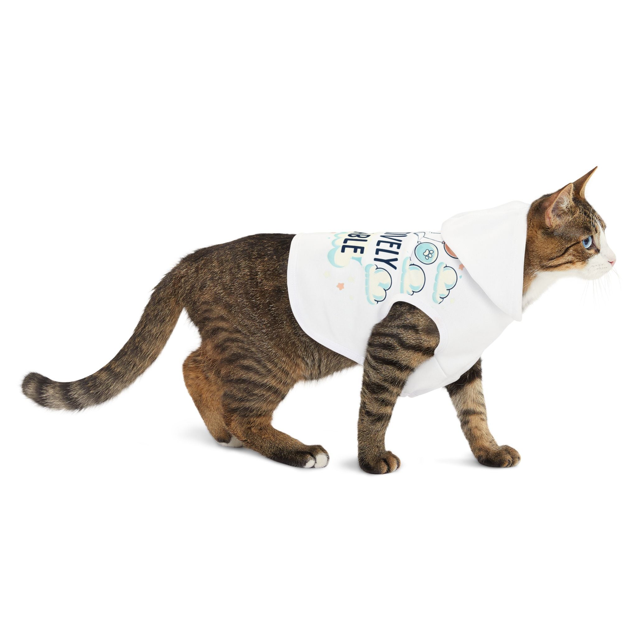 Pawsitively Adorable - Pet Hoodie