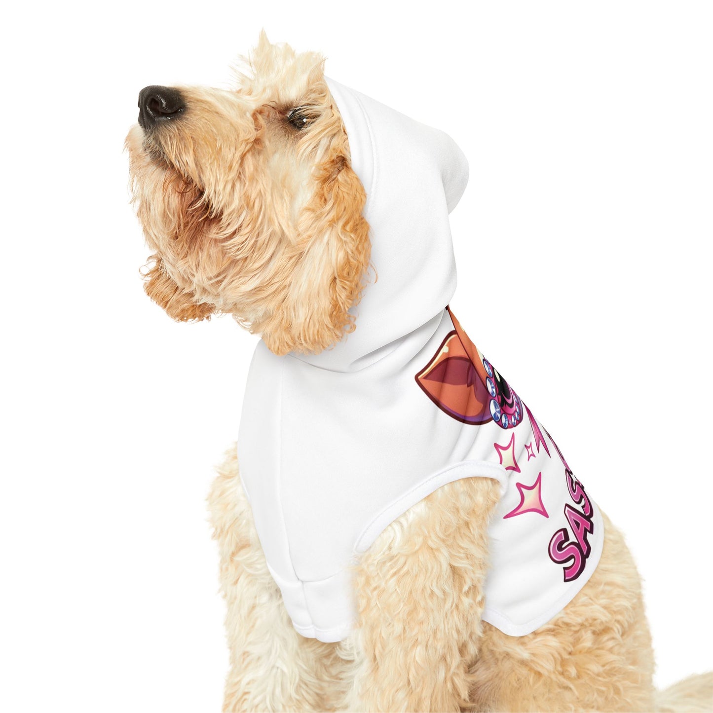 Sass in Pink - Pet Hoodie