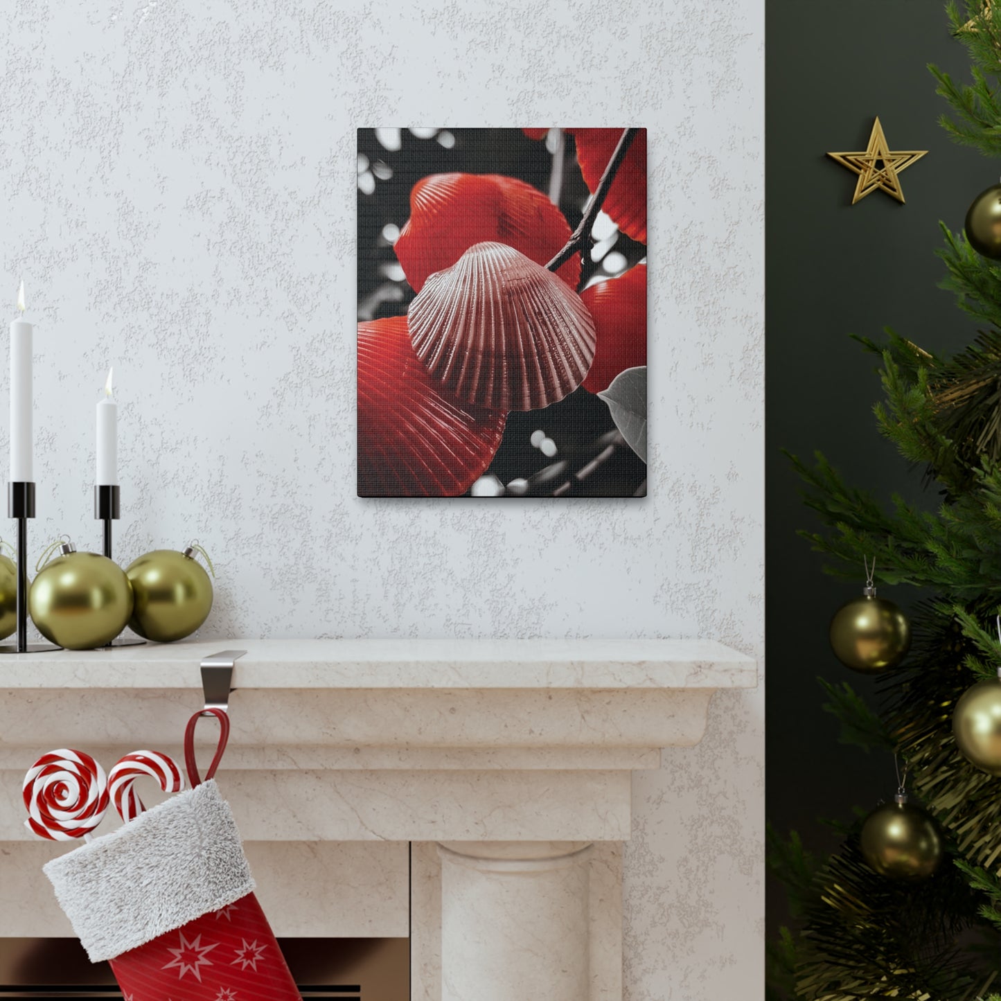 Red Shells - Canvas Gallery Wraps