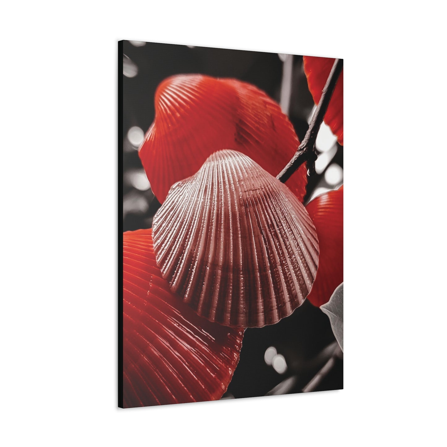 Red Shells - Canvas Gallery Wraps