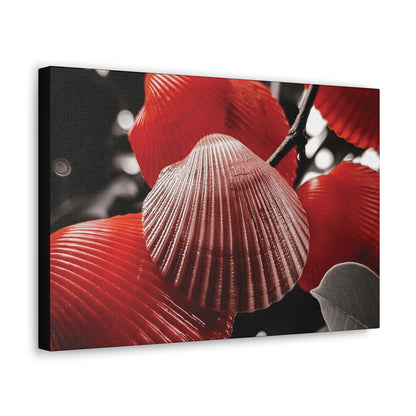 Red Shells - Canvas Gallery Wraps