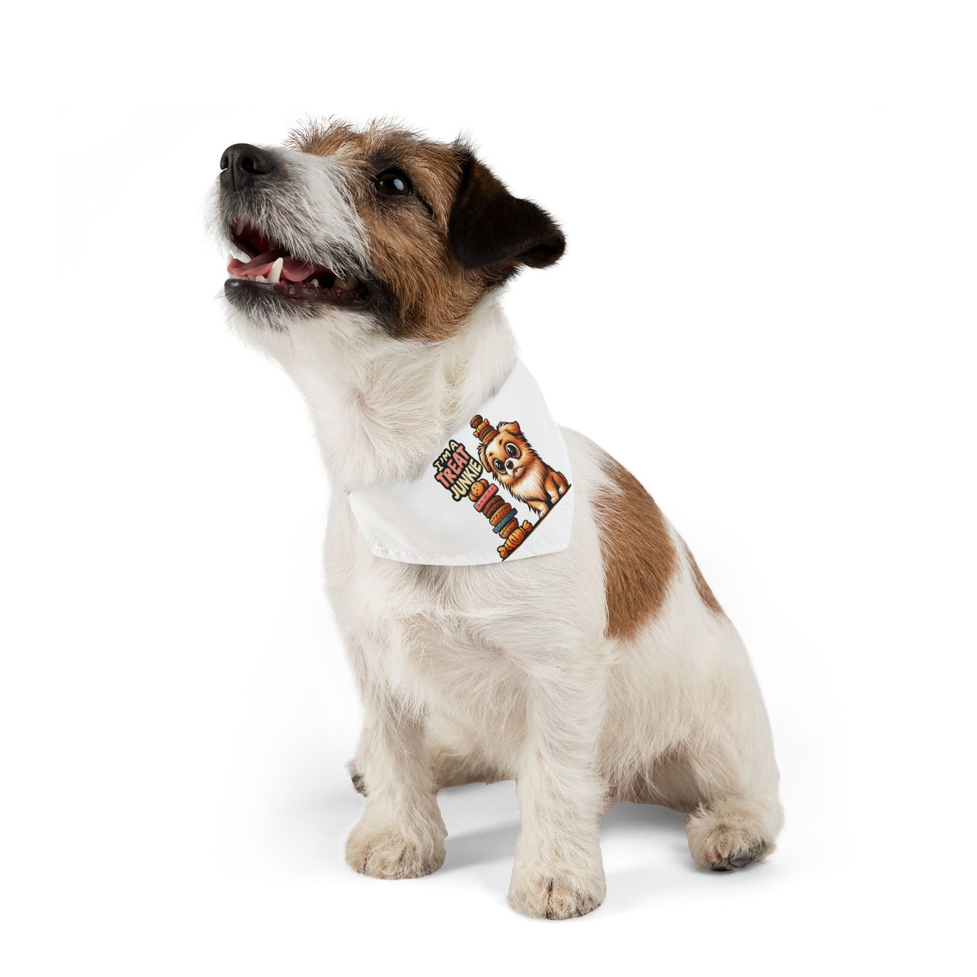 I'm A Treat Junkie - Pet Bandana Collar - Creatively Designed Shop