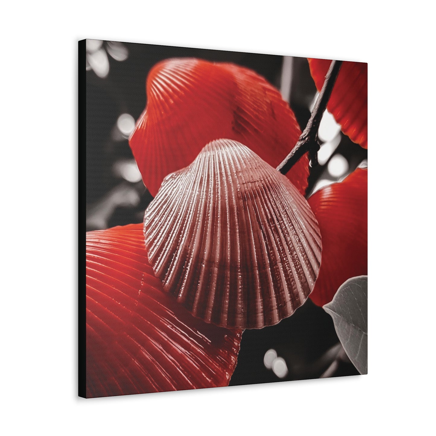 Red Shells - Canvas Gallery Wraps